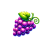 all star win x50 grape symbol