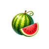 all star win x50 watermelon symbol
