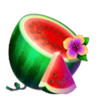 aloha bar melon symbol