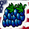 always american grape symbol