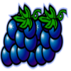 always hot deluxe grape symbol