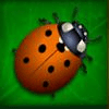 amatic industries magic forest ladybug symbol