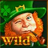 amatic industries magic forest wild symbol