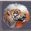 amazing gaming fortune dragon tiger symbol