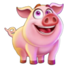 amazing link cluckin riches pink pig symbol