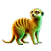 amazing link wildcat kingdom meerkat symbol