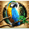 amazon queen parrot symbol