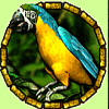 amazonia parrot symbol