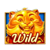 amusnet interactive golden tiger wild symbol