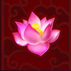 ancient tigers legacy lotus flower symbol