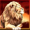 animals of africa lion symbol