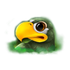 anotherland bird symbol