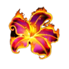 arabian fire loaded with loot flower symbol