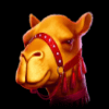 arabian secret camel symbol