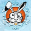 arctic wild bunny symbol