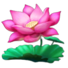 aspect gaming jungle treasure flower symbol