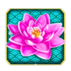 aspect gaming lucky spin flower symbol