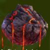 astro wilds habitat 4 symbol