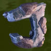 astro wilds j symbol