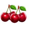 autumn dual fruits cherries symbol