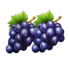 autumn dual fruits grapes symbol