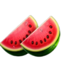 autumn dual fruits melons symbol