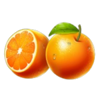 autumn dual fruits oranges symbol