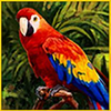 aztec glory buy bonus parrot symbol