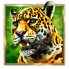 aztec jaguar jaguar symbol