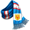 back of the net scarf symbol