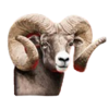 badlands ram symbol