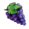 bahamut star 20 lines grapes symbol