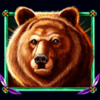 bald eagle bear symbol