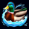 bald eagle duck symbol