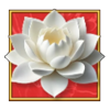 bamboo bear deluxe white lotus symbol