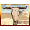 bandits bounty skull symbol
