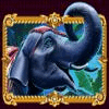 bangkok dreams elephant symbol