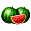 basket bounty watermelons symbol