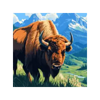 bear spirit bounty bison symbol