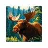 bear spirit bounty elk symbol