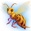 beary wild bee bee symbol