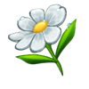 bee keeper daisy flower symbol