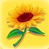 beez kneez sunflower symbol