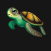 ben gunn robinson turtle symbol