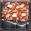 bering hunter crabs symbol