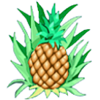 betconstruct crazy monkey pineapple symbol