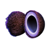 betconstruct fresh fruits coconut symbol