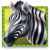 betsoft stampede 4