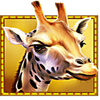 betsoft stampede 5