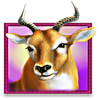 betsoft stampede 6
